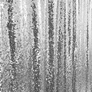 TRLYC Shiny Sequin Backdrop Curtains for Wedding Party Decor (2 Panels, W2 x H8FT,Sliver)