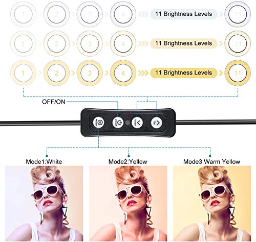 LED Ring Light 6" with Tripod Stand for YouTube Video and Makeup, Mini LED Camera Light with Cell Phone Holder Desktop LED Lamp with 3 Light Modes & 11 Brightness Level (6")