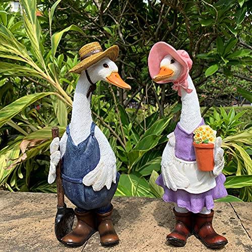 iRonrain Garden Statues Gardener Couple Duck, Indoor Outdoor Decorations Cute Ducks Art Décor Goose Figurine Ornament for Yard Home Garden Patio and Office (Male)