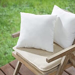 Codi Outdoor Pillow Inserts Set of 2, 20x20 Throw Pillows Insert, Water Resistant Decorative Stuffing Cushion for Patio Furniture. Couch, Porch Indoor Outdoors