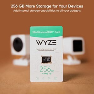 Wyze Expandable Storage 256GB MicroSDXC Card Class 10, Black