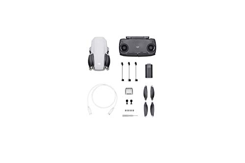 DJI Mavic Mini Drone FlyCam Quadcopter with 2.7K Camera 3-Axis Gimbal GPS 30min Flight Time (Renewed)