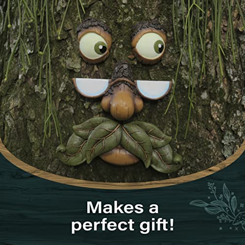 Tree Faces Decor Outdoor – Tree Hugger Yard Art Garden Decoration – Unique Garden Peeker for Outdoors and Indoors – Old Man Tree Art