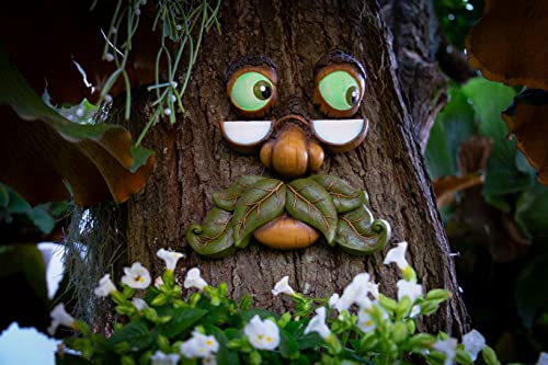 Tree Faces Decor Outdoor – Tree Hugger Yard Art Garden Decoration – Unique Garden Peeker for Outdoors and Indoors – Old Man Tree Art