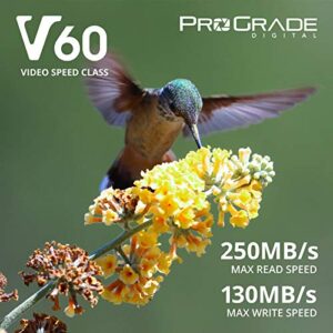 Prograde Digital SD UHS-II 256GB Card V60 –Up to 130MB/s Write Speed and 250 MB/s Read Speed | for Professional Vloggers, Filmmakers, Photographers & Content Curators