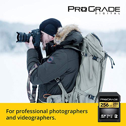 Prograde Digital SD UHS-II 256GB Card V60 –Up to 130MB/s Write Speed and 250 MB/s Read Speed | for Professional Vloggers, Filmmakers, Photographers & Content Curators