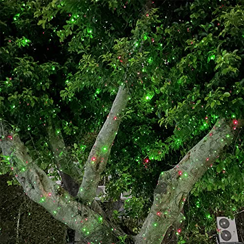 Dalanpa Garden Lights Outdoor Laser Christmas Light Moving Star Projector (Red Green)