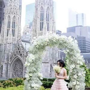 Wedding Arch Backdrop Stand,Gold Metal Door Arched Backdrop Frame Arches Backdrop Stand for Wedding Birthday Graduation Anniversary Celebration Opening Ceremony(5x2FT)