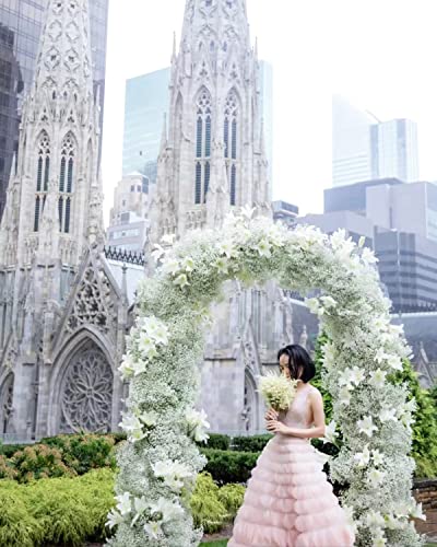 Wedding Arch Backdrop Stand,Gold Metal Door Arched Backdrop Frame Arches Backdrop Stand for Wedding Birthday Graduation Anniversary Celebration Opening Ceremony(5x2FT)