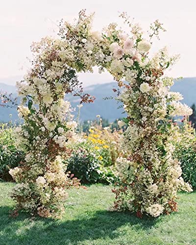 Wedding Arch Backdrop Stand,Gold Metal Door Arched Backdrop Frame Arches Backdrop Stand for Wedding Birthday Graduation Anniversary Celebration Opening Ceremony(5x2FT)