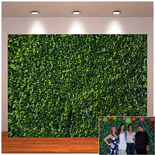 Art Studio Green Leaves Photography Backdrops Spring Nature Party Decoration Outdoorsy Theme Newborn Baby Shower Backdrop Wedding Photo Background Studio Props Booth 8x6ft Vinyl