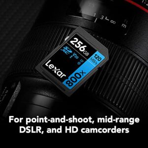 Lexar High-Performance 800x 64GB (2-Pack) SDXC UHS-I Memory Cards, C10, U3, V30, Full-HD & 4K Video, Up to 120MB/s Read, for Point-and-Shoot Cameras, Mid-Range DSLR, HD Camcorder (LSD0800064G-B2NNU)