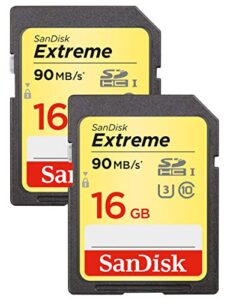 extreme sdhc 16gb class 10 2-pack