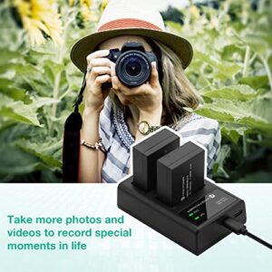 FirstPower DMW-BLC12 Battery and Dual USB Charger for Panasonic Lumix DMC-G7, DMC-G85, DMC-G95, DMC-FZ1000, DC-FZ1000 II, DMC-GH2, DMC-G5, DMC-G6, DMC-GX8, DMC-FZ200, DMC-FZ300, DMC-FZ2500 Cameras