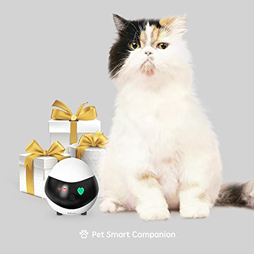 Enabot Home Security Pet Camera, Wireless Pet Camera with Self-Charging, Night Vision, Camera for Pet Elderly Baby, 16GB SD Storage APP Remote Control