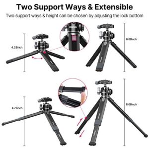 Portable Desktop Mini Tripod PICTRON MT-24 Compact Camera Tripod Aluminum Alloy with 360° Ball Head,1/4 inches Quick Release Plate for DSLR Camera Video Camcorder, Load up to 11lbs/5kg
