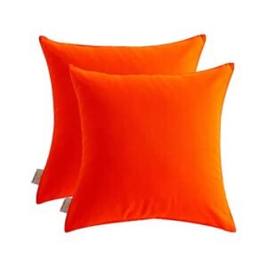 Western Home Outdoor Pillow Covers 20x20 Waterproof, Patio Throw Pillow Covers Cushions Bed Covers for Couch Garden Tent Park - Pack of 2 Pillow Covers Burnt Orange