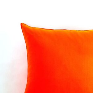 Western Home Outdoor Pillow Covers 20x20 Waterproof, Patio Throw Pillow Covers Cushions Bed Covers for Couch Garden Tent Park - Pack of 2 Pillow Covers Burnt Orange