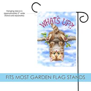 Toland Home Garden 1110807 What's Up Cat Flag 12x18 Inch Double Sided Cat Garden Flag for Outdoor House Kitten Flag Yard Decoration