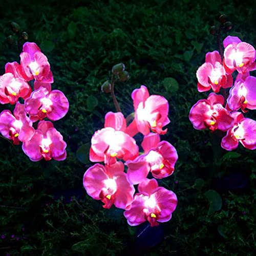 Aolyty Solar Garden Lights Outdoor, IP65 Waterproof Solar Stake Lights Butterfly Orchid Flowers Lights for Lawn Patio Backyard Landscape Party Decorative (Purple, 2 Pack)