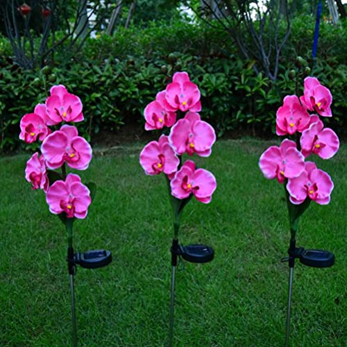 Aolyty Solar Garden Lights Outdoor, IP65 Waterproof Solar Stake Lights Butterfly Orchid Flowers Lights for Lawn Patio Backyard Landscape Party Decorative (Purple, 2 Pack)