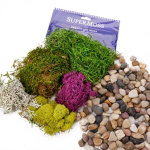 ellie arts | natural decorative bag of mixed pebbles | small rocks | stones | with colorful supermoss for fairy gardens, air plants, cactus, terrariums, succulents and more.