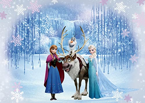 Frozen Ice World Princess Backdrop Winter Frozen Birthday Party Decoration Winter Children Photography Backdrop (7x5FT)