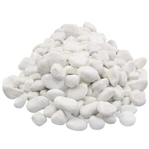 Unpolished White Pebbles 10 Lb. - 1 inch Pebbles for Plants, Gardens, Fish Tank Gravel, Décor, Landscaping, Succulent, Terrarium, 100% Natural Stone Pebbles Decorative Rocks, Matte White Finish