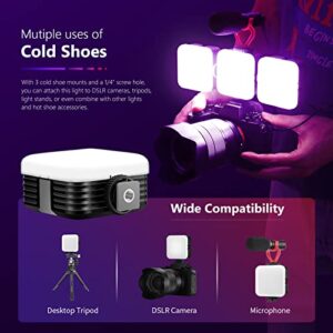 Neewer Magnetic RGB Video Light, 360° Full Color RGB61 LED Camera Light with 3 Cold Shoe Mounts/CRI 97+/20 Scene Modes/2500K-8500K/2000mAh Rechargeable Portable Photography Lighting