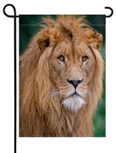 uanvaha lion garden flag double sided brown lion head king african grass wild animal nature welcome small yard flag seasonal outside decor yard farmhouse 12.5x18 inch