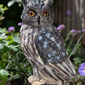 VA Horned Eagle Owl Resin Statue, Fake Owl, Fake Statue, Fake Owls, Garden Owl, Owl Décor, Realistic Owl, Owl Yard Décor, Owl.