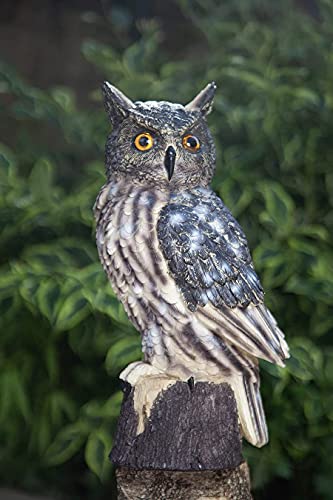 VA Horned Eagle Owl Resin Statue, Fake Owl, Fake Statue, Fake Owls, Garden Owl, Owl Décor, Realistic Owl, Owl Yard Décor, Owl.