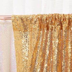 2Pcs 3Ft x 8Ft Gold Sequin Backdrop Curtain, Glitter Photography Background, Sequence Xmas Thanksgiving Backdrop for Wedding Party Holiday Festival Decor…