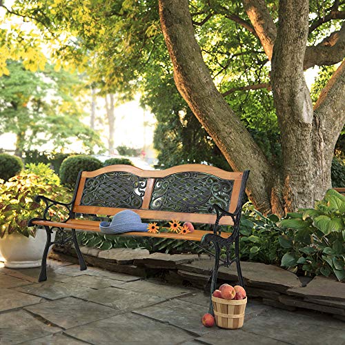 Trlec gt4-ly 49 inch Garden Bench Outdoor Patio Park Chair Furniture Hardwood Slat cast Iron Frame, Suitable for Patio, Porch, Deck or Garden