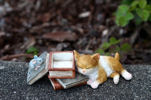 Top Collection Enchanted Story Garden Kitten Napping on Books Trinket Box and Ring Holder Outdoor Decor