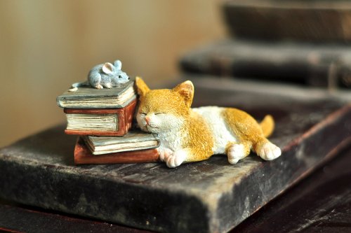 Top Collection Enchanted Story Garden Kitten Napping on Books Trinket Box and Ring Holder Outdoor Decor