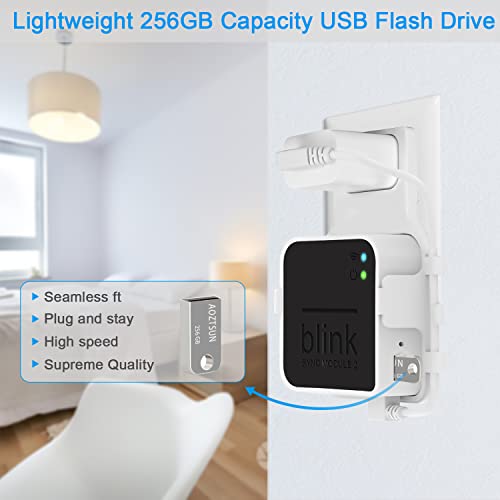 256GB USB Flash Drive and Outlet Wall Mount for Blink Sync Module 2, Save Space and Easy Move Mount Bracket Holder for Blink Outdoor Indoor Security Camera (Blink Sync Module 2 is NOT Included)