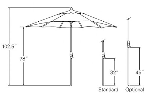 9-Foot Treasure Garden (Model 920) Push Button-Tilt Market Umbrella with Bronze Frame and Obravia2 Fabric: Forest Green