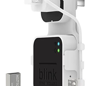 256GB USB Flash Drive and Outlet Wall Mount for Blink Sync Module 2, Save Space and Easy Move Mount Bracket Holder for Blink Outdoor Indoor Security Camera (Blink Sync Module 2 is NOT Included)