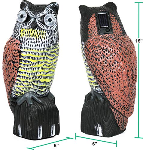 Galashield Owl Decoy | Plastic Owls to Scare Birds Away with Solar Powered LED Eyes | Owl Statue for Garden & Outdoors