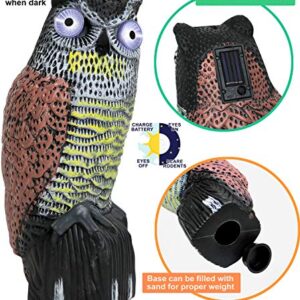 Galashield Owl Decoy | Plastic Owls to Scare Birds Away with Solar Powered LED Eyes | Owl Statue for Garden & Outdoors