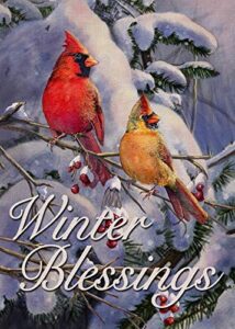 furiaz winter blessings garden flag cardinals, snowy home decorative house yard small flag birds welcome decor sign double sided, christmas holiday outdoor decorations xmas seasonal outside flag 12×18
