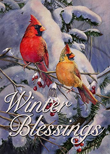Furiaz Winter Blessings Garden Flag Cardinals, Snowy Home Decorative House Yard Small Flag Birds Welcome Decor Sign Double Sided, Christmas Holiday Outdoor Decorations Xmas Seasonal Outside Flag 12x18