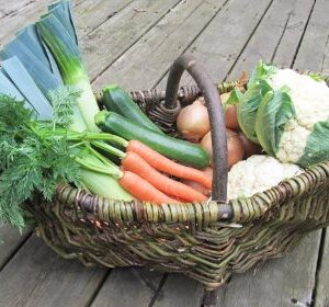 Nutley's Rustic Large Willow Vegetable Trug Basket