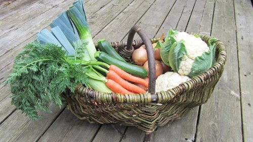 Nutley's Rustic Large Willow Vegetable Trug Basket