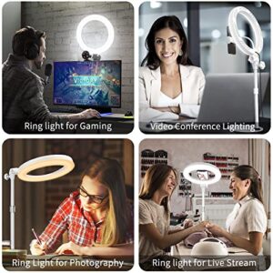 Video Conference Lighting for Laptop Computer, 10.5'' Selfie Ring Light with Stand and Phone Holder for Remote Working, Zoom Meeting Calls, Webcam Lighting, Live Streaming, Video Recording (White)