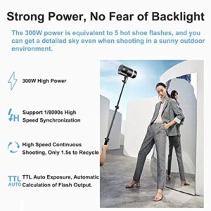 Godox AD300 Pro AD300Pro Flash Strobe Monolight, 300Ws Outdoor Flash, Recharagable Lithium Battery, 2.4G HSS 1/8000s Portable Flash Compatible for Nikon Canon Sony Fuji Olympus Panasonic Camera