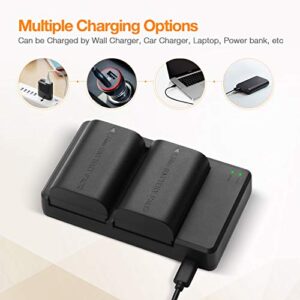 LP-E6 LP E6N Replacement Camera Batteries and Rapid Dual Charger Set for 5D Mark II, III, IV, 5DS, 5DS R, 6D, 60D,6D Mark II, 7D, 7D Mark II,70D, 80D Batteries Grip