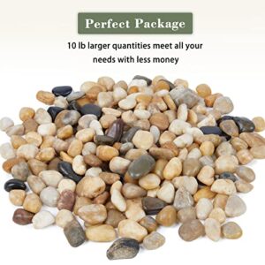 Future Way 10lbs Rocks for Plants, Aquarium, Fish Tank, Pots Indoor, Garden Landscaping, 3/4-1 1/2 Inch, Mixed Colors