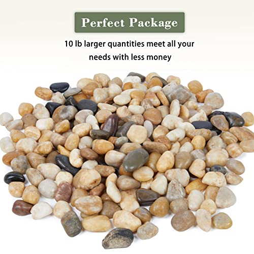 Future Way 10lbs Rocks for Plants, Aquarium, Fish Tank, Pots Indoor, Garden Landscaping, 3/4-1 1/2 Inch, Mixed Colors